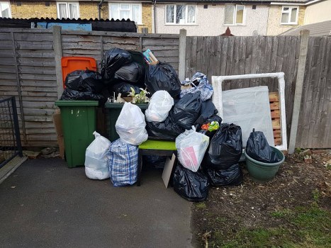 Professionals performing garden clearance in Southfields